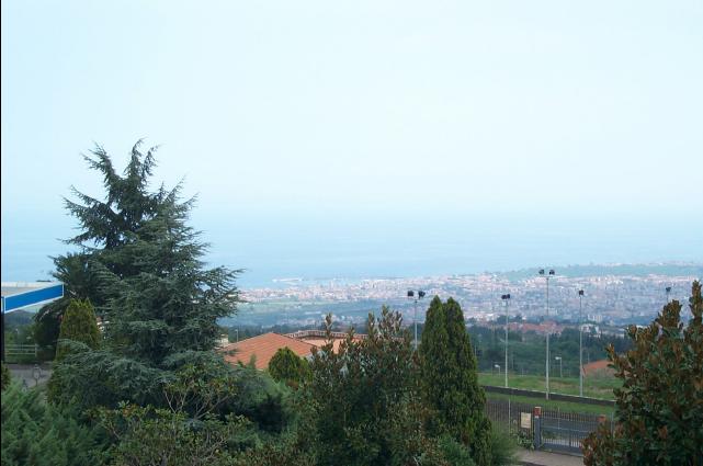 DCP_0799